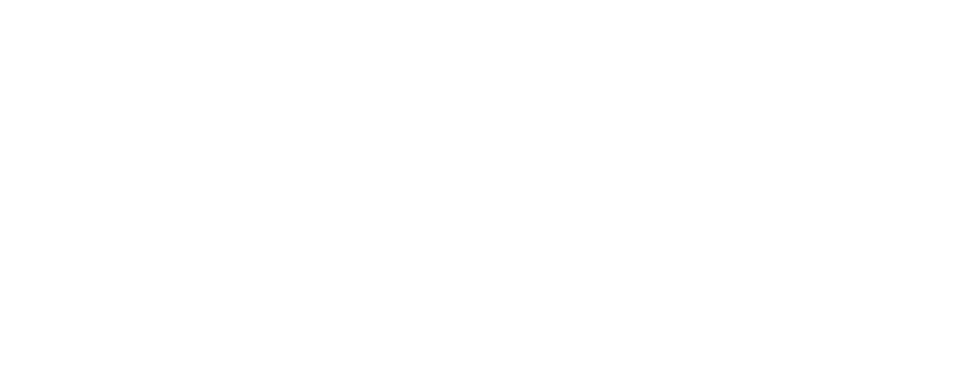 极客跳动
